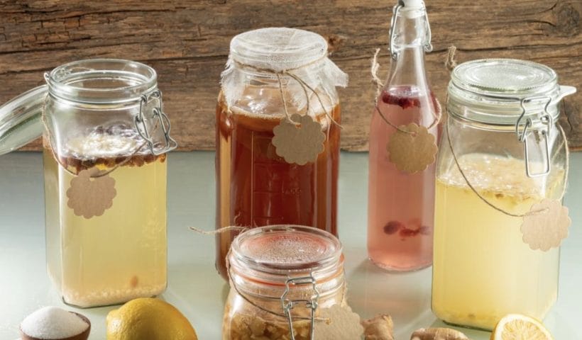 Fermentation maison